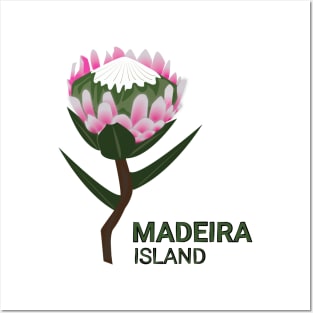 Madeira Island - Protea Posters and Art